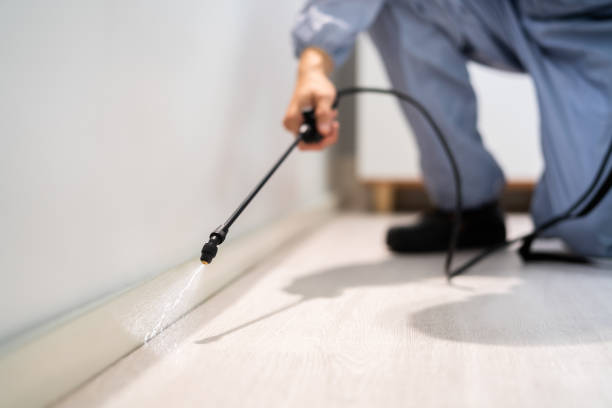 Licensed Bed Bug Control service in San Bruno, CA - Nex Pest Control