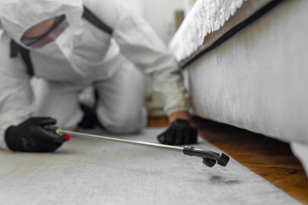 Professional Bed Bug Control technician working in San Bruno, CA