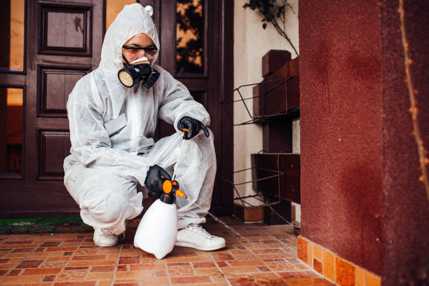 Reliable Bed Bug Control contractor in San Bruno, CA by Nex Pest Control